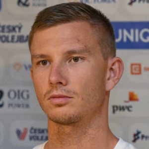 Schweiner David